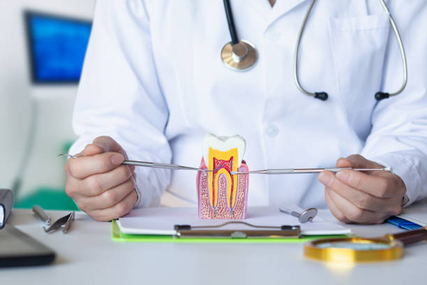 Best Broken or Chipped Tooth Repair in Smithsburg, MD